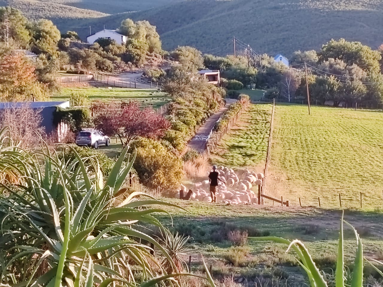 WhatsApp Image 2025-04-28 at 17.32.29_20ed93d0