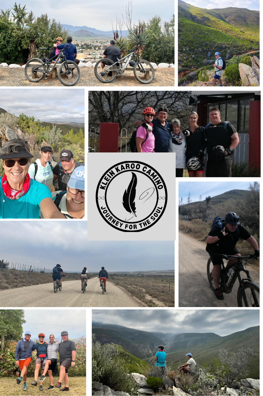 Brackett_Highlights_Eng